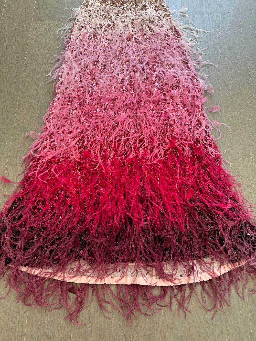 Alice + Olivia ASHTON Feathered Embellished Skirt Ascendent Ombre Deep Pink Sz 2 - Picture 2 of 9